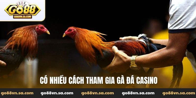 Có nhiều cách tham gia gà đá casino