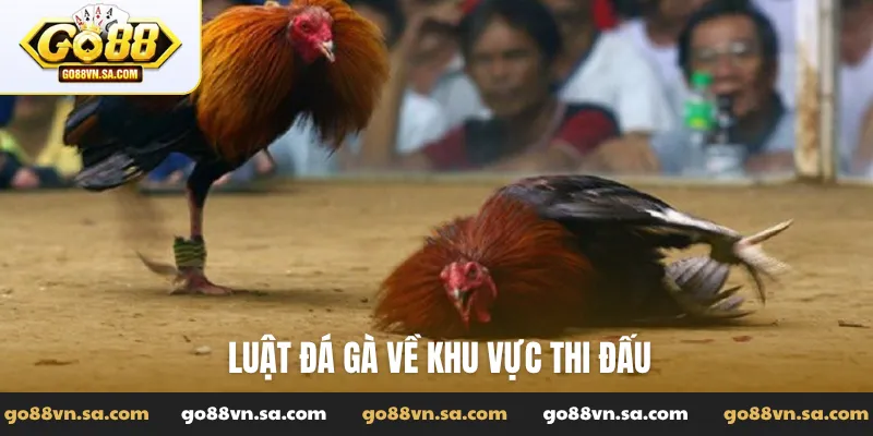 Luật đá gà về khu vực thi đấu