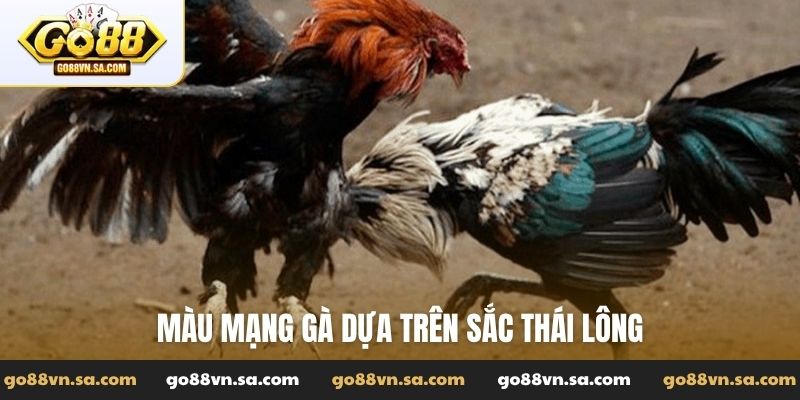 Màu mạng gà dựa trên sắc thái lông