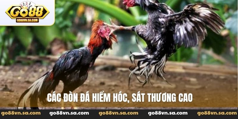 Các đòn đá hiểm hóc, sát thương cao