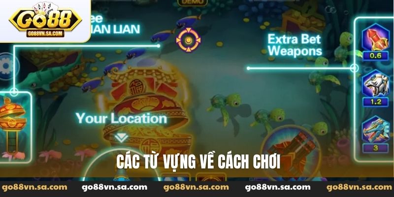 Các từ vựng về cách chơi